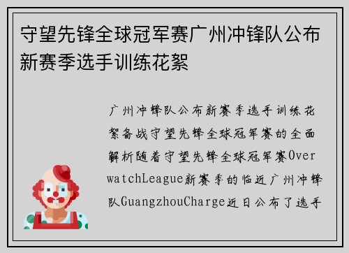 守望先锋全球冠军赛广州冲锋队公布新赛季选手训练花絮